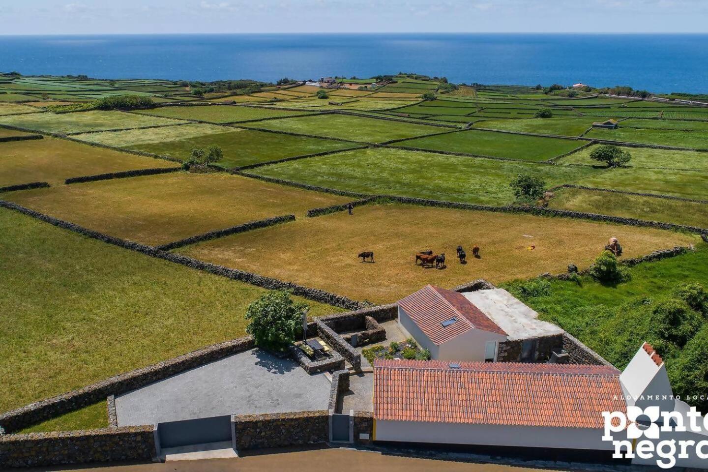 Recanto Das 5 By Pontanegraazores Cinco Ribeiras Eksteriør billede