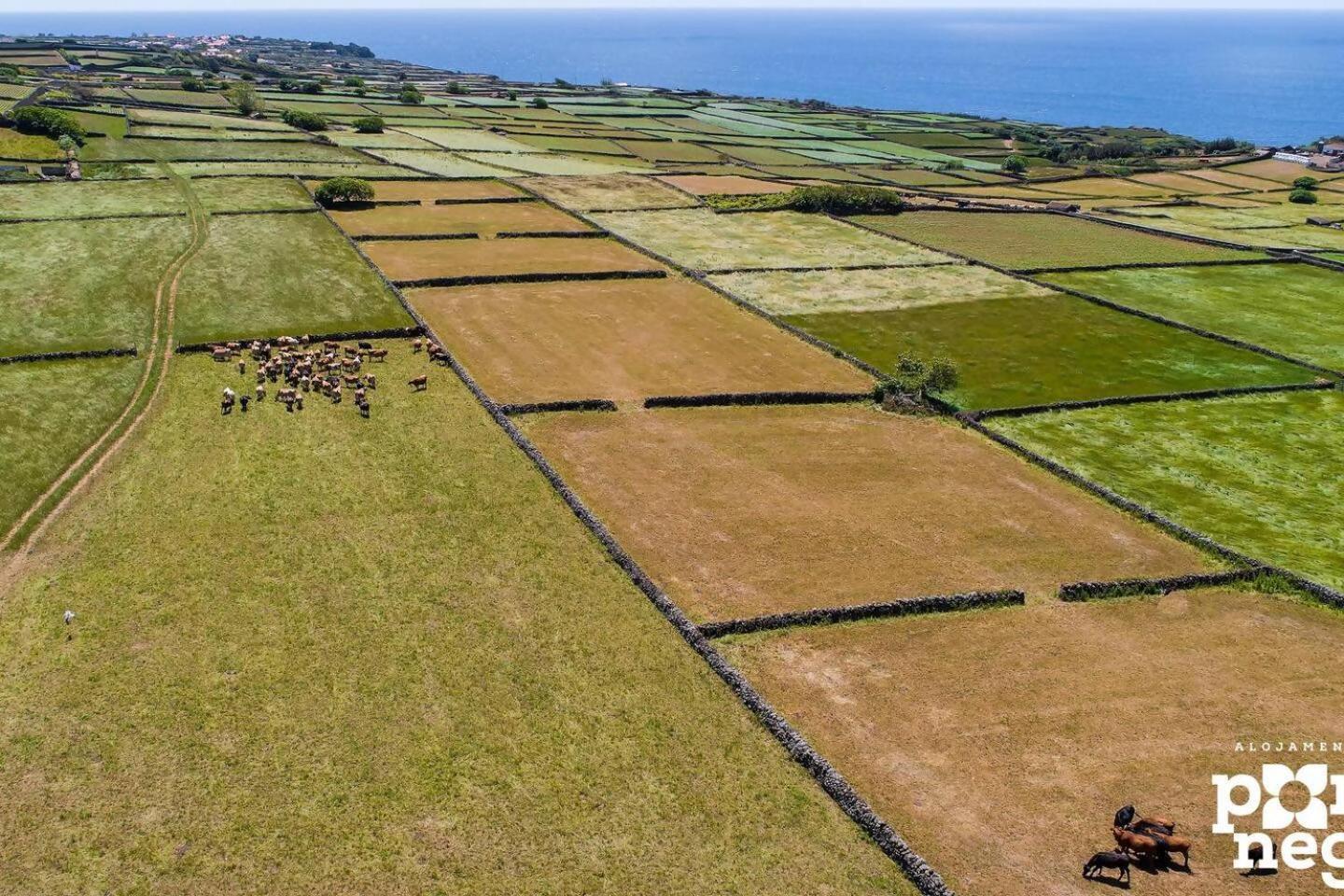 Recanto Das 5 By Pontanegraazores Cinco Ribeiras Eksteriør billede